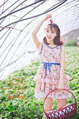 惊爆！尼姑庵春梦在线观看，你敢点进来吗？10大看点揭秘！